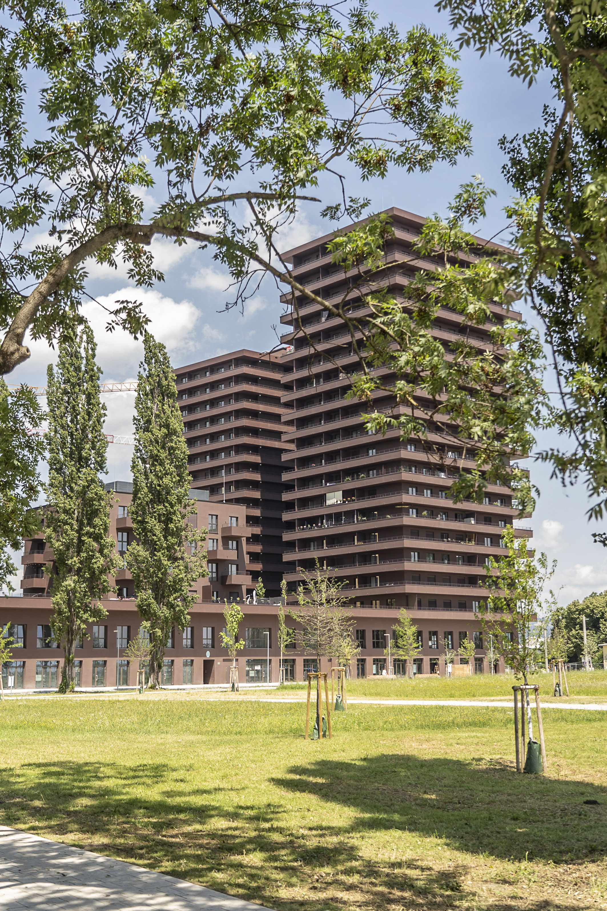 Mirror Reininghauspark @ Stadt Graz / Foto Fischer Blick durch Bäume auf das halbversteckte Wohnprojekt mirror, das zweithöchstes Wohngebäude der Steiermark